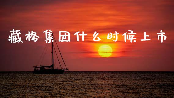 藏格集团什么时候上市_https://wap.fcdydaikuan.com_新股数据_第1张