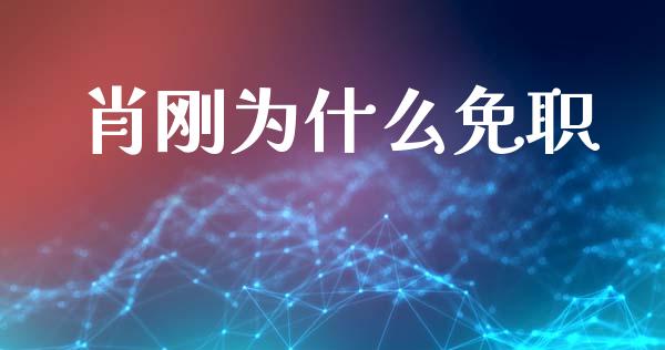 肖刚为什么免职_https://wap.fcdydaikuan.com_投资策略_第1张
