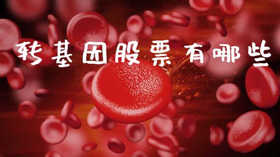 转基因股票有哪些_https://wap.fcdydaikuan.com_新股数据_第1张