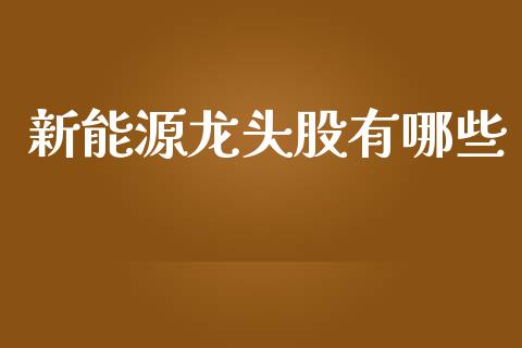 新能源龙头股有哪些_https://wap.fcdydaikuan.com_理财顾问_第1张