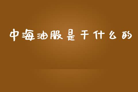 中海油服是干什么的_https://wap.fcdydaikuan.com_新股数据_第1张