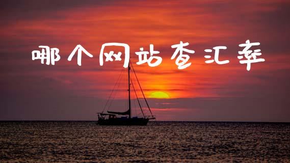 哪个网站查汇率_https://wap.fcdydaikuan.com_国际投资_第1张