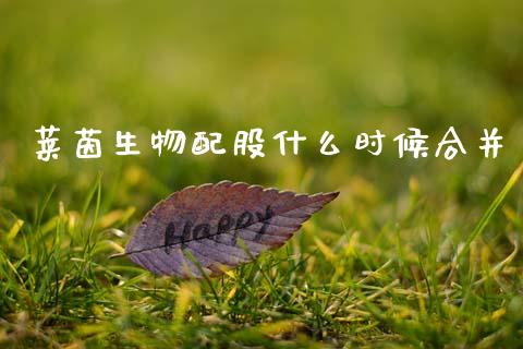 莱茵生物配股什么时候合并_https://wap.fcdydaikuan.com_金融机构_第1张