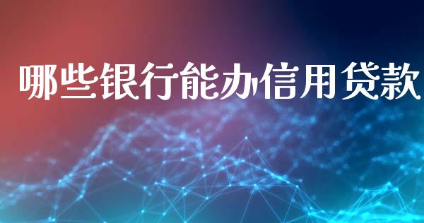 哪些银行能办信用贷款_https://wap.fcdydaikuan.com_金融机构_第1张