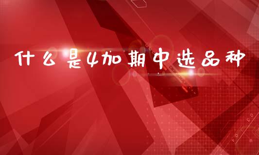 什么是4加期中选品种_https://wap.fcdydaikuan.com_投资策略_第1张