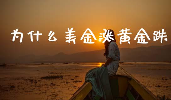 为什么美金涨黄金跌_https://wap.fcdydaikuan.com_国际投资_第1张