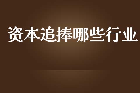 资本追捧哪些行业_https://wap.fcdydaikuan.com_理财顾问_第1张
