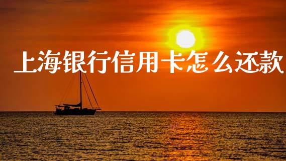 上海银行信用卡怎么还款_https://wap.fcdydaikuan.com_投资策略_第1张