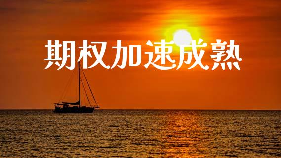 期权加速成熟_https://wap.fcdydaikuan.com_国际投资_第1张