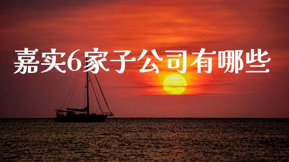 嘉实6家子公司有哪些_https://wap.fcdydaikuan.com_投资策略_第1张
