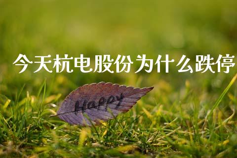 今天杭电股份为什么跌停_https://wap.fcdydaikuan.com_理财顾问_第1张