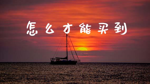 怎么才能买到_https://wap.fcdydaikuan.com_投资策略_第1张