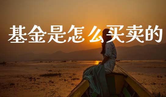 基金是怎么买卖的_https://wap.fcdydaikuan.com_新股数据_第1张