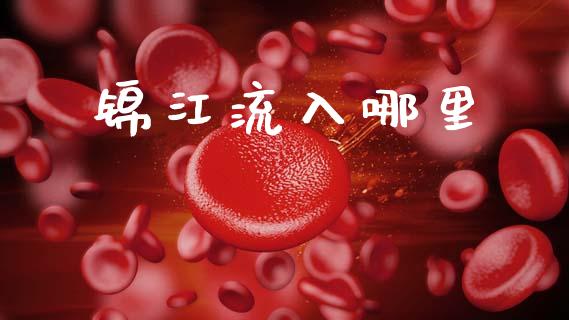 锦江流入哪里_https://wap.fcdydaikuan.com_国际投资_第1张