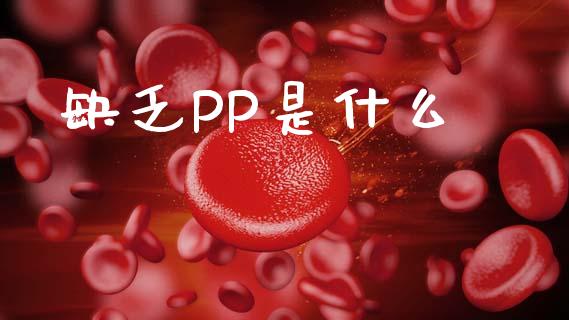 缺乏PP是什么_https://wap.fcdydaikuan.com_国际投资_第1张