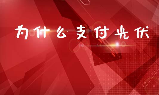 为什么支付光伏_https://wap.fcdydaikuan.com_金融机构_第1张