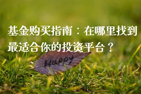 基金购买指南：在哪里找到最适合你的投资平台？_https://wap.fcdydaikuan.com_投资策略_第1张