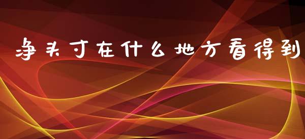 净头寸在什么地方看得到_https://wap.fcdydaikuan.com_理财顾问_第1张