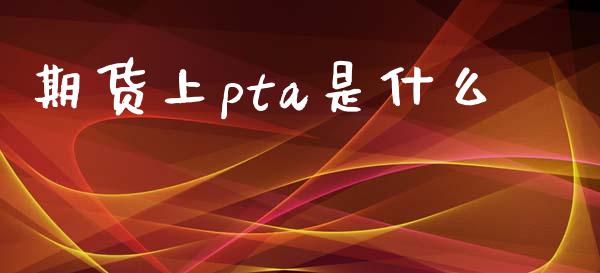 期货上pta是什么_https://wap.fcdydaikuan.com_期货品种_第1张