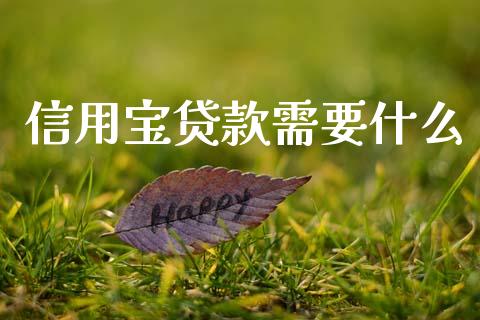 信用宝贷款需要什么_https://wap.fcdydaikuan.com_理财顾问_第1张