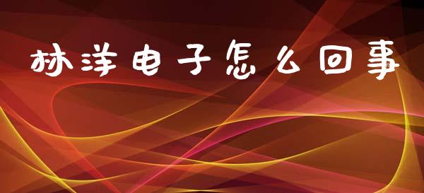 林洋电子怎么回事_https://wap.fcdydaikuan.com_理财顾问_第1张