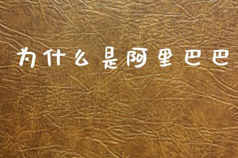 为什么是阿里巴巴_https://wap.fcdydaikuan.com_新股数据_第1张