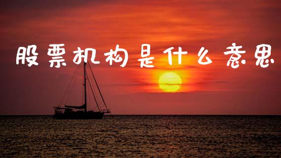 股票机构是什么意思_https://wap.fcdydaikuan.com_投资策略_第1张