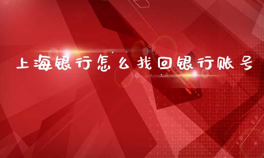 上海银行怎么找回银行账号_https://wap.fcdydaikuan.com_国际投资_第1张