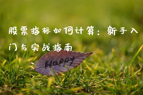股票指标如何计算：新手入门与实战指南_https://wap.fcdydaikuan.com_金融机构_第1张