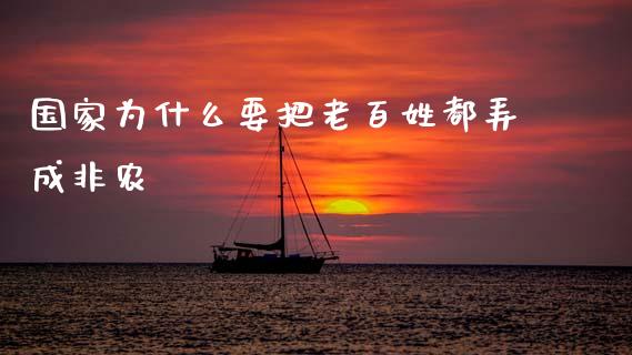国家为什么要把老百姓都弄成非农_https://wap.fcdydaikuan.com_期货品种_第1张