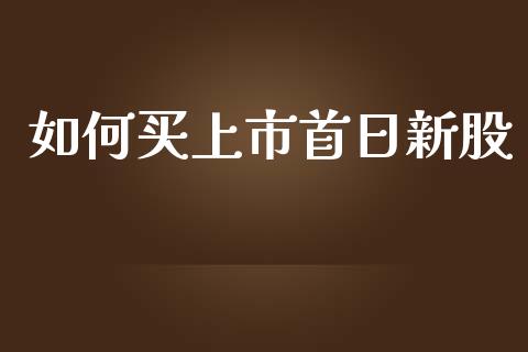 如何买上市首日新股_https://wap.fcdydaikuan.com_国际投资_第1张