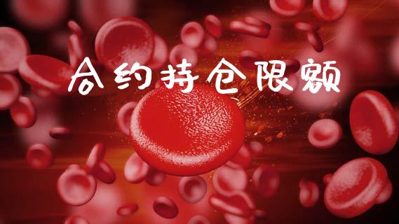 合约持仓限额_https://wap.fcdydaikuan.com_理财顾问_第1张
