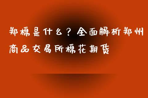 郑棉是什么？全面解析郑州商品交易所棉花期货_https://wap.fcdydaikuan.com_投资策略_第1张
