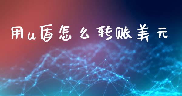 用u盾怎么转账美元_https://wap.fcdydaikuan.com_期货品种_第1张