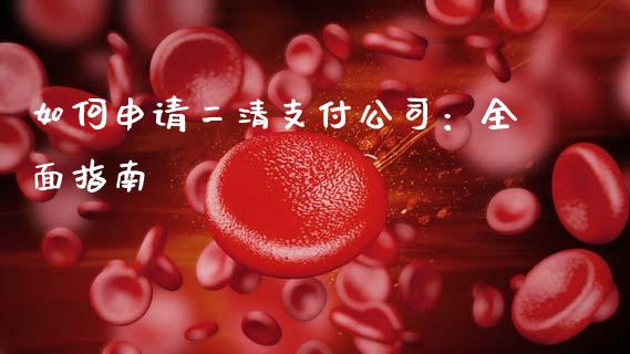 如何申请二清支付公司：全面指南_https://wap.fcdydaikuan.com_新股数据_第1张