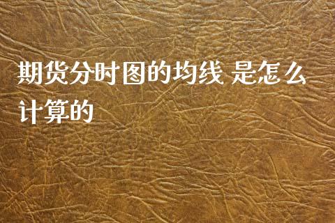 期货分时图的均线 是怎么计算的_https://wap.fcdydaikuan.com_投资策略_第1张