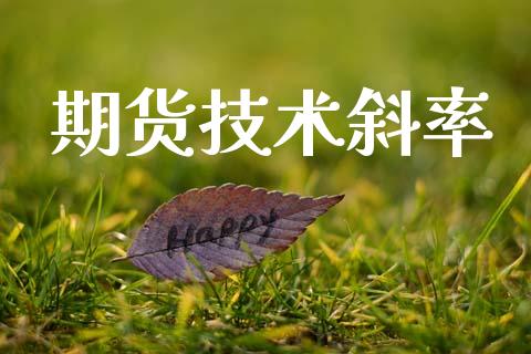 期货技术斜率_https://wap.fcdydaikuan.com_金融机构_第1张