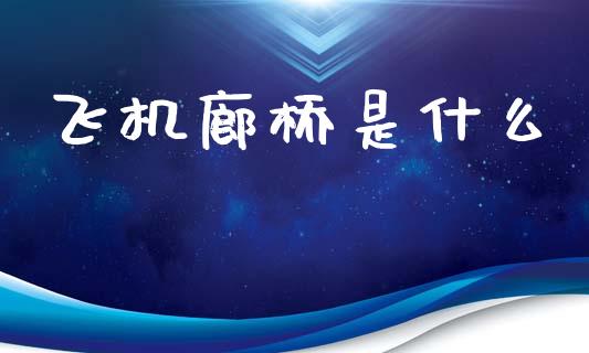 飞机廊桥是什么_https://wap.fcdydaikuan.com_投资策略_第1张