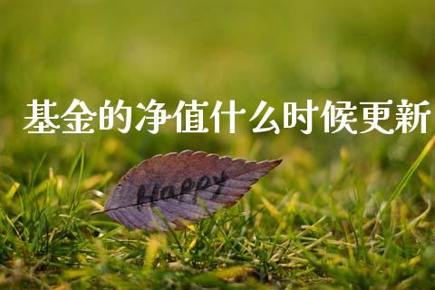 基金的净值什么时候更新_https://wap.fcdydaikuan.com_国际投资_第1张
