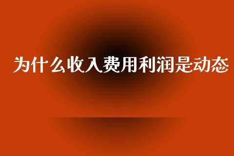 为什么收入费用利润是动态_https://wap.fcdydaikuan.com_期货品种_第1张