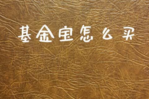 基金宝怎么买_https://wap.fcdydaikuan.com_理财顾问_第1张