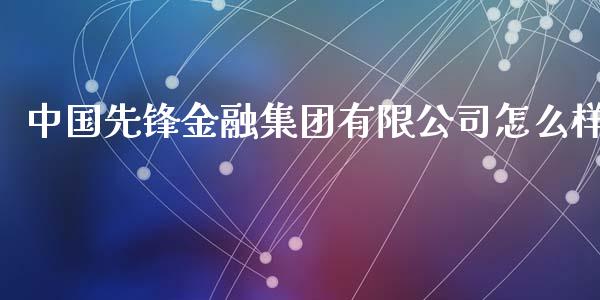 中国先锋金融集团有限公司怎么样_https://wap.fcdydaikuan.com_国际投资_第1张
