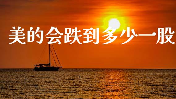 美的会跌到多少一股_https://wap.fcdydaikuan.com_投资策略_第1张