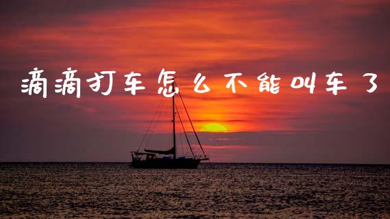 滴滴打车怎么不能叫车了_https://wap.fcdydaikuan.com_新股数据_第1张