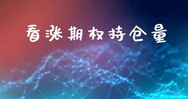 看涨期权持仓量_https://wap.fcdydaikuan.com_理财顾问_第1张