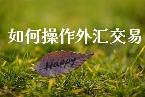 如何操作外汇交易_https://wap.fcdydaikuan.com_投资策略_第1张