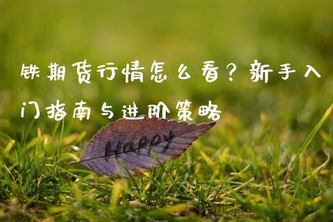 铁期货行情怎么看？新手入门指南与进阶策略_https://wap.fcdydaikuan.com_新股数据_第1张