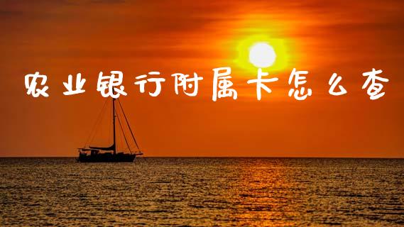 农业银行附属卡怎么查_https://wap.fcdydaikuan.com_投资策略_第1张
