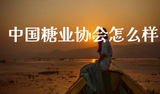 中国糖业协会怎么样_https://wap.fcdydaikuan.com_期货品种_第1张