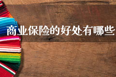 商业保险的好处有哪些_https://wap.fcdydaikuan.com_金融机构_第1张